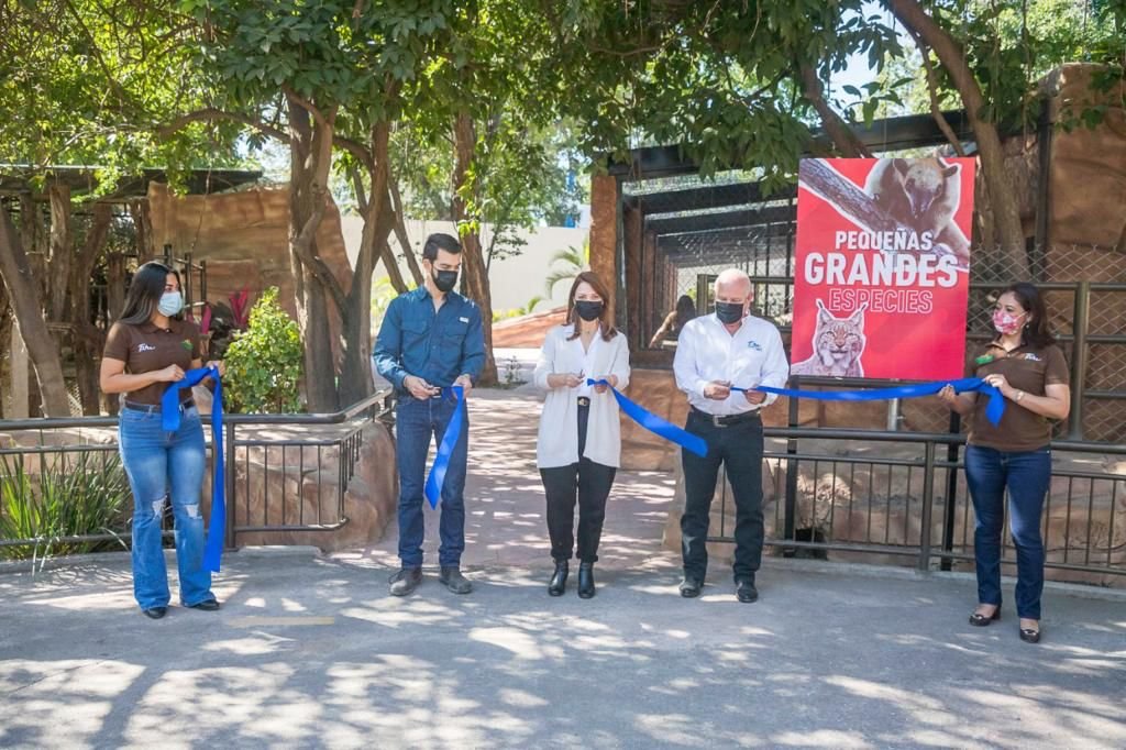 DIF-060-2021.-Inaugura Mariana Gómez recinto de pequeñas grandes especies en el Zoológico Tamatán (3)