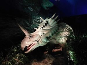 WhatsApp Image 2021-12-02 at 6.07.12 PM