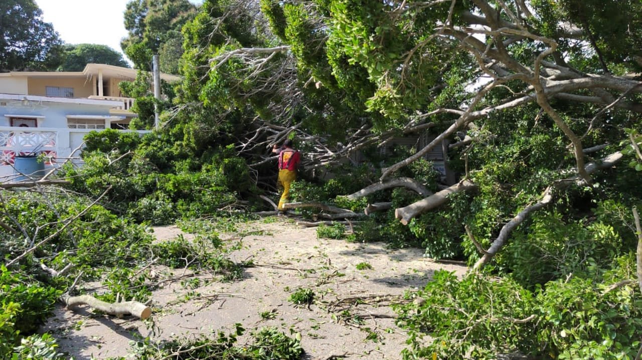 WhatsApp Image 2022-01-03 at 6.15.47 PM