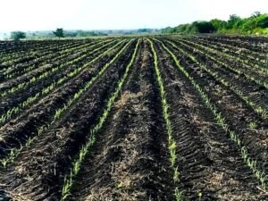 WhatsApp Image 2022-01-05 at 3.46.56 PM