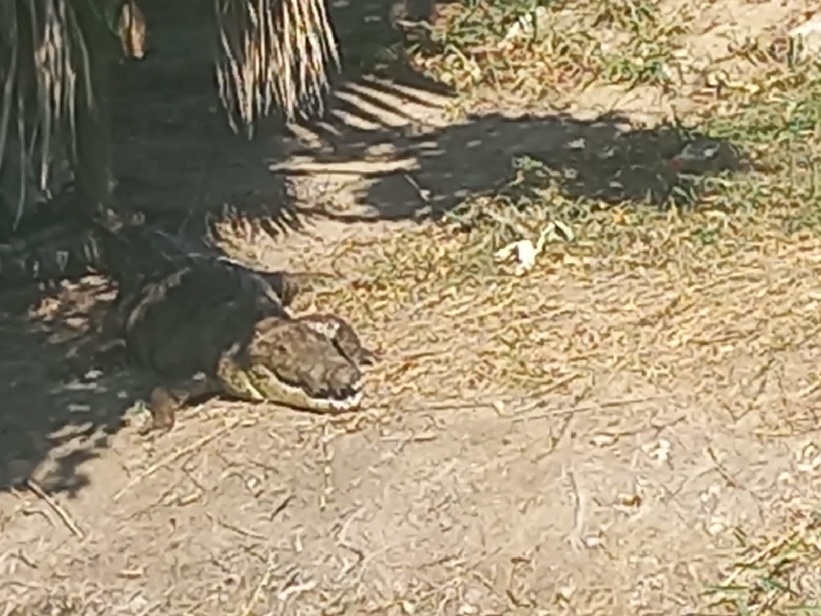 WhatsApp Image 2022-01-05 at 7.19.25 PM