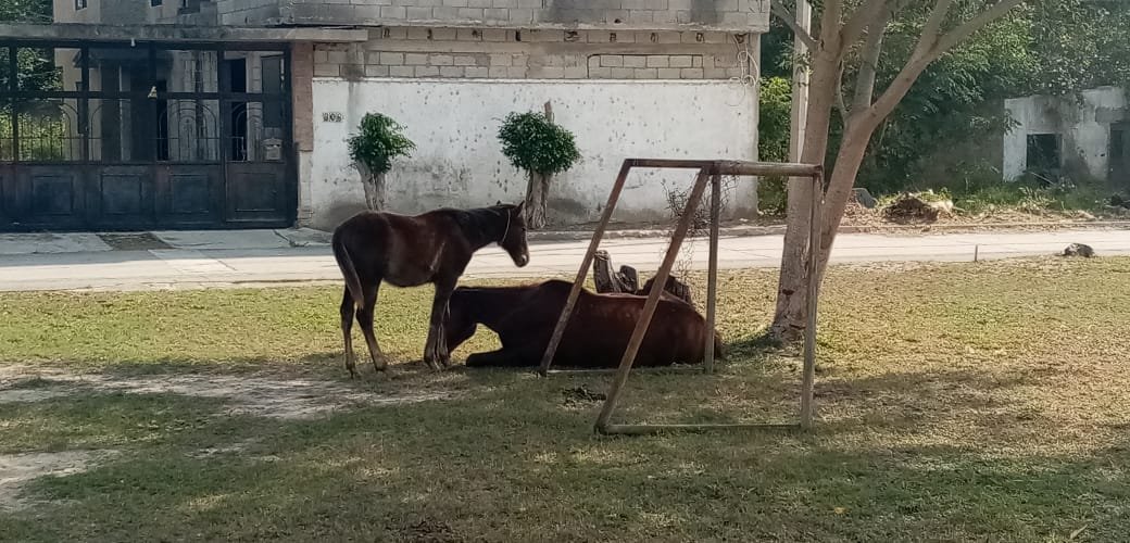 WhatsApp Image 2022-01-14 at 5.19.24 PM