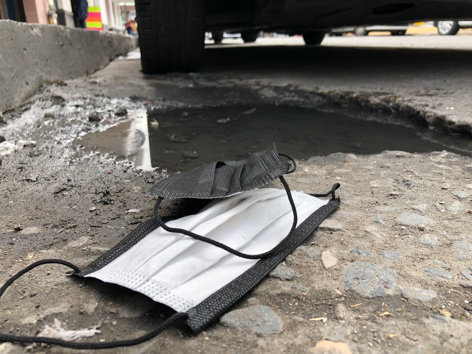 WhatsApp Image 2022-01-27 at 4.24.42 PM