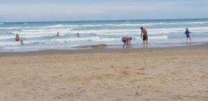 WhatsApp Image 2022-01-28 at 5.22.50 PM