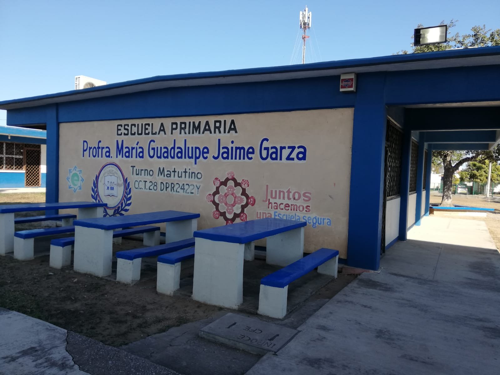 WhatsApp Image 2022-02-16 at 11.49.17 AM (1)