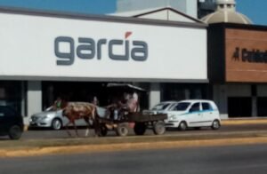 WhatsApp Image 2022-02-17 at 4.55.54 PM