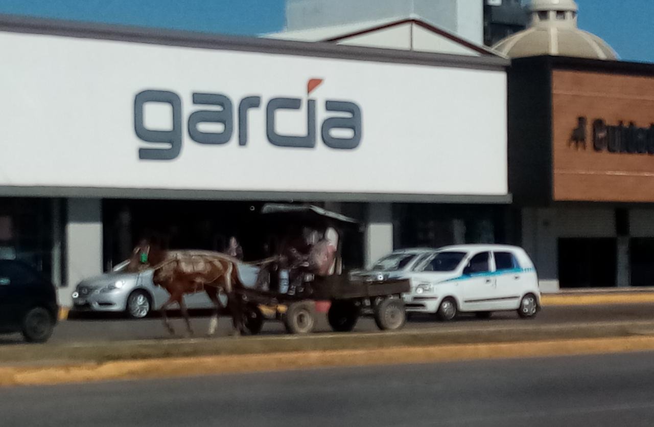 WhatsApp Image 2022-02-17 at 4.55.54 PM