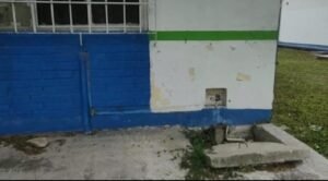 WhatsApp Image 2022-02-28 at 2.54.54 PM