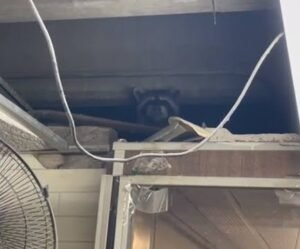 WhatsApp Image 2022-02-28 at 2.55.28 PM