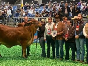 7eeef7a1-2005-4981-b779-3bc79442dafe