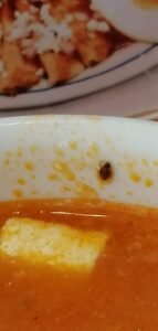 WhatsApp Image 2022-03-25 at 10.45.24 AM