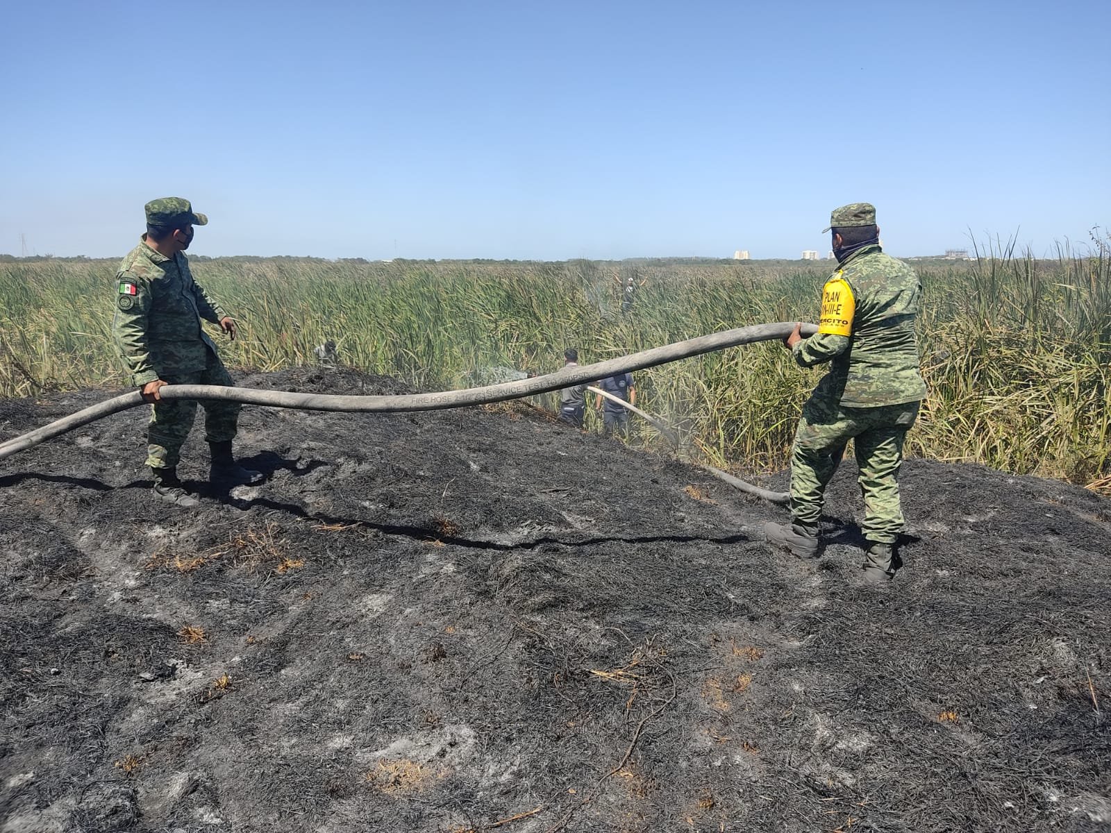 WhatsApp Image 2022-03-25 at 4.00.37 PM