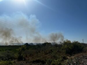 WhatsApp Image 2022-03-25 at 7.08.45 PM