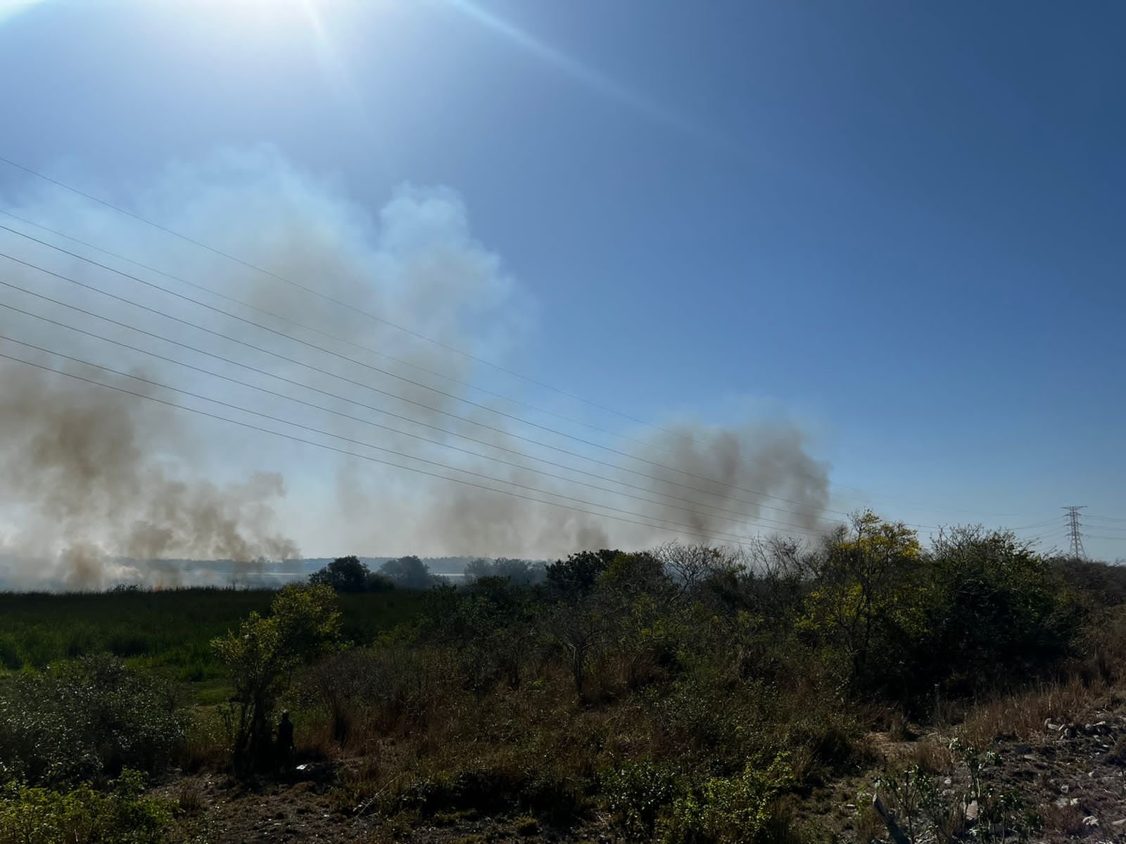 WhatsApp Image 2022-03-25 at 7.08.45 PM