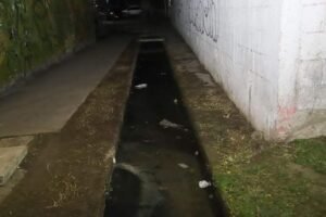 Retiro-de-basureros-clandestinos-para-evitar-proliferacion-de-mosco