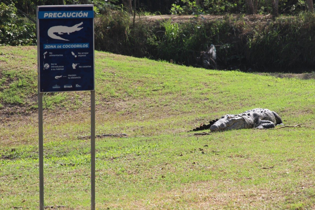 WhatsApp Image 2022-04-11 at 1.04.43 PM