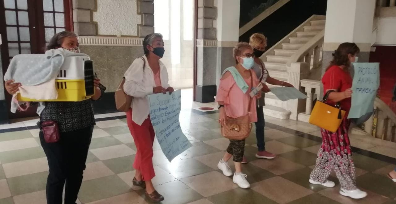 WhatsApp Image 2022-04-18 at 2.11.48 PM