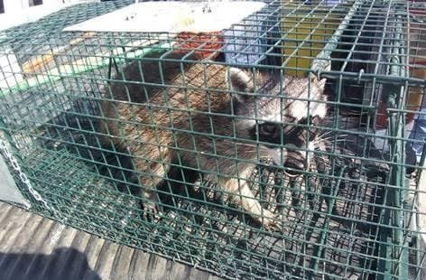 WhatsApp Image 2022-04-20 at 9.38.59 AM