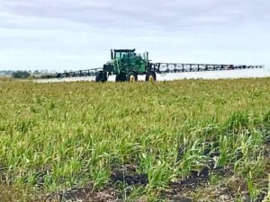 WhatsApp Image 2022-04-22 at 2.49.51 PM