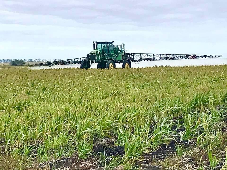 WhatsApp Image 2022-04-22 at 2.49.51 PM