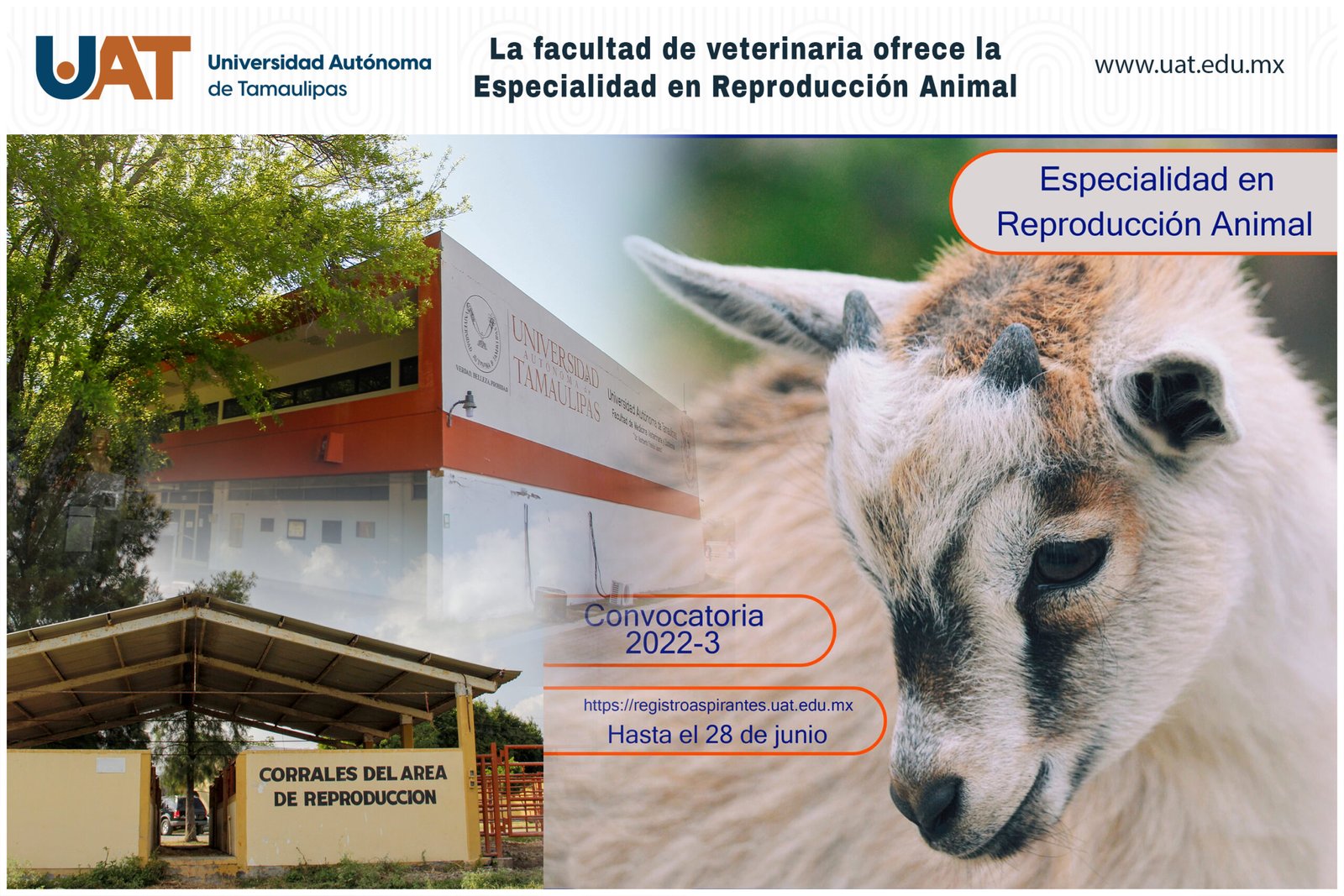 foto 1 reproducción animal 26 04 2022