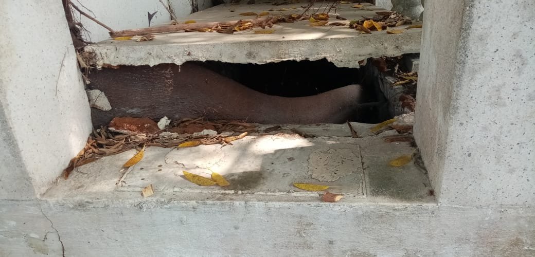 WhatsApp Image 2022-05-10 at 5.30.39 PM