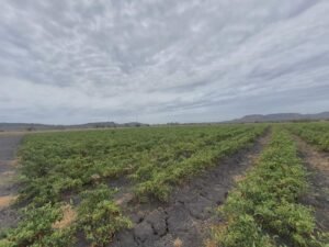 WhatsApp Image 2022-05-16 at 5.25.50 PM