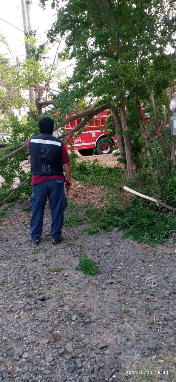 WhatsApp Image 2022-05-30 at 6.25.30 PM