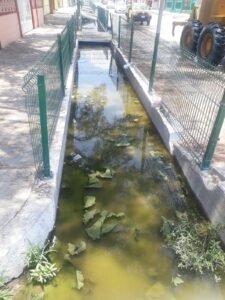 WhatsApp Image 2022-05-31 at 6.23.09 PM