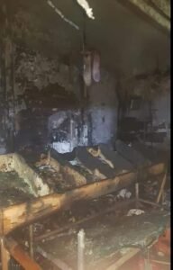 WhatsApp Image 2022-06-13 at 3.00.44 PM