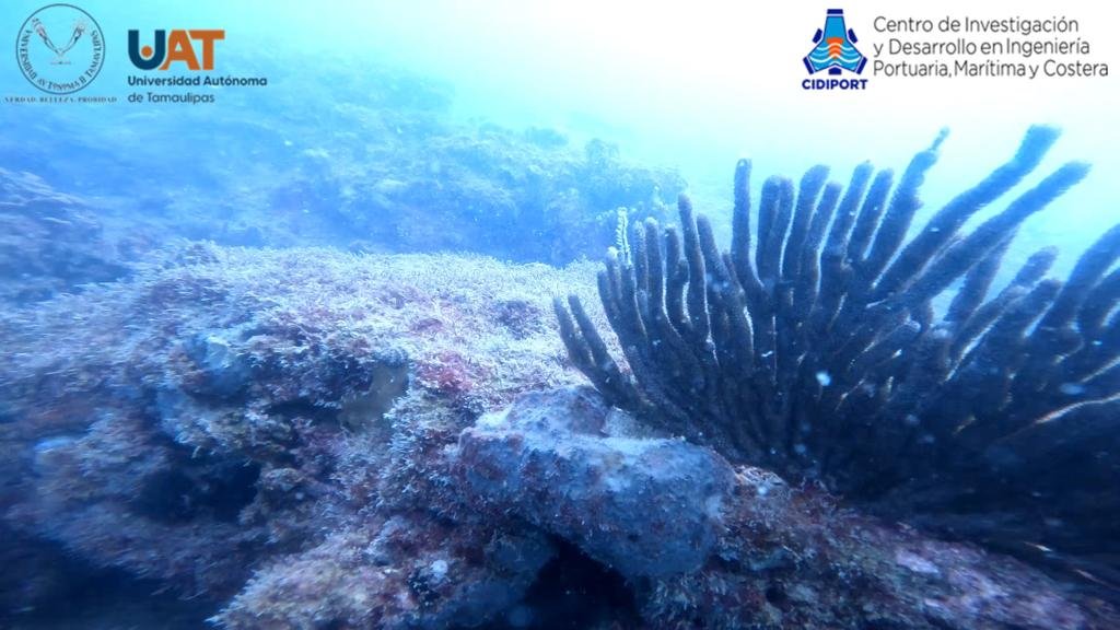 WhatsApp Image 2022-06-20 at 5.41.56 PM