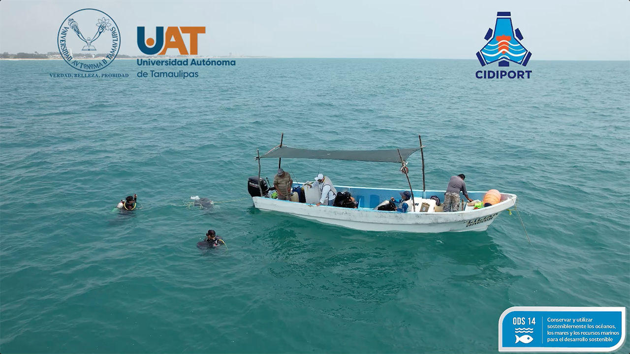 foto 3 arrecifes 20 06 2022