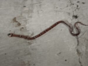 WhatsApp Image 2022-07-04 at 1.37.55 PM