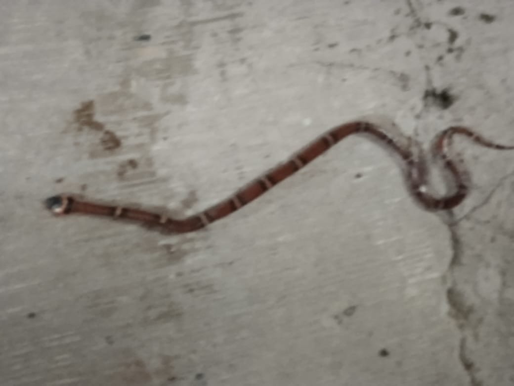 WhatsApp Image 2022-07-04 at 1.37.55 PM