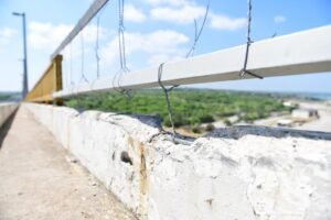 WhatsApp Image 2022-07-12 at 4.47.39 PM