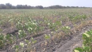 WhatsApp Image 2022-08-08 at 5.15.24 PM