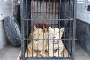 fb77f902-9759-424e-8253-1645a2e47911