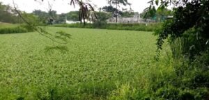 WhatsApp Image 2022-09-20 at 7.08.45 PM