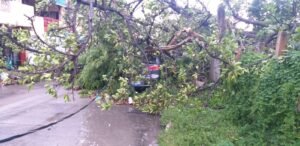 WhatsApp Image 2022-09-26 at 1.20.41 PM