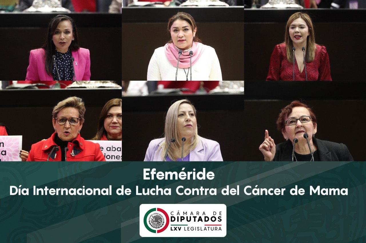 Imagen de WhatsApp 2022-10-20 a las 15.42.30