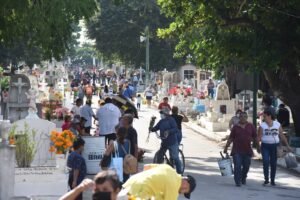 Imagen de WhatsApp 2022-11-02 a las 16.54.00