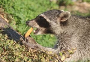 Imagen de WhatsApp 2022-11-08 a las 20.11.46