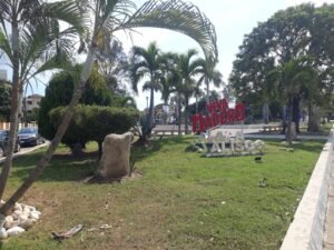 Imagen de WhatsApp 2022-11-08 a las 20.14.46