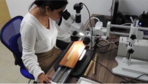 foto 2 ingreso docentes 21 01 2023