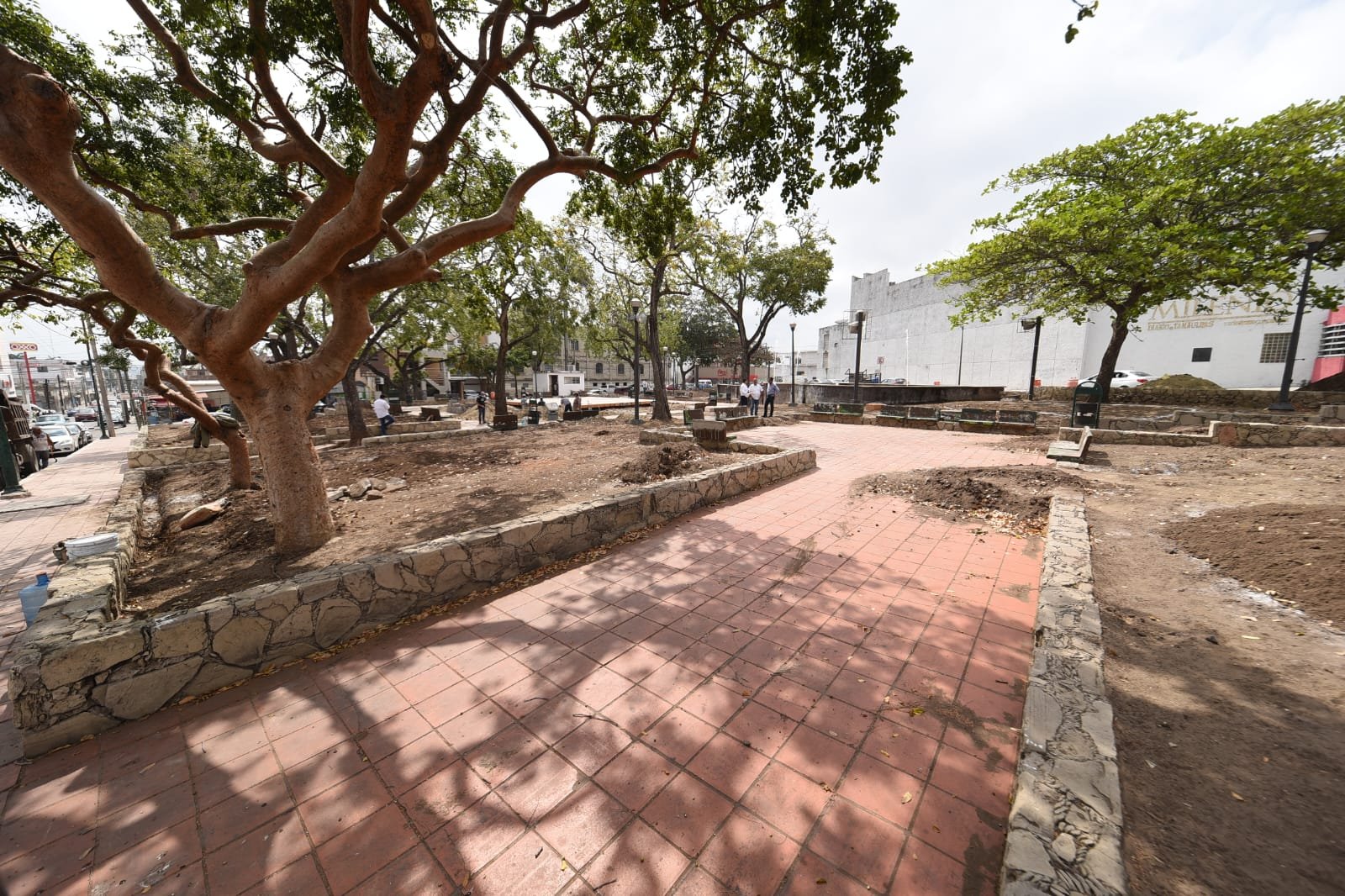 Imagen de WhatsApp 2023-03-15 a las 16.37.265