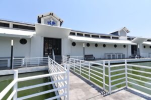 WhatsApp Image 2023-09-06 at 6.47.57 PM