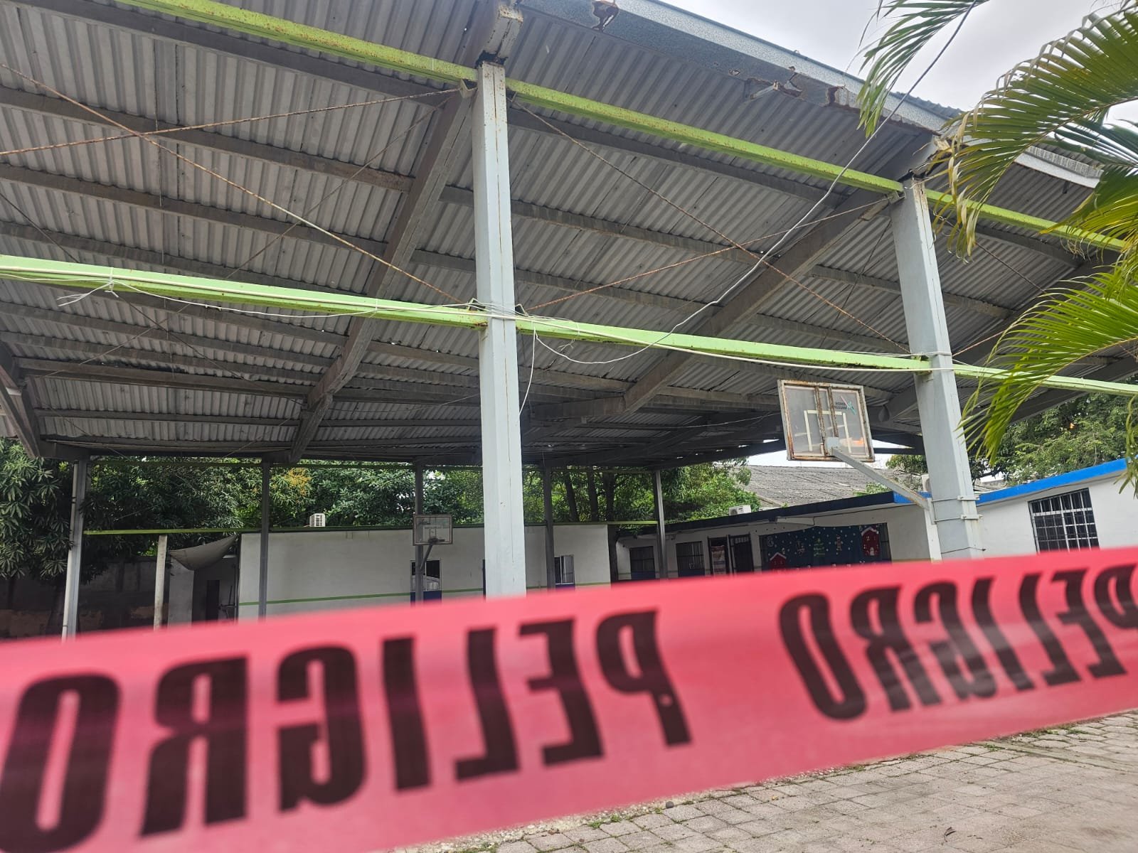 WhatsApp Image 2024-01-11 at 8.55.43 PM