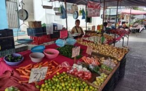 WhatsApp Image 2024-01-23 at 8.39.09 PM