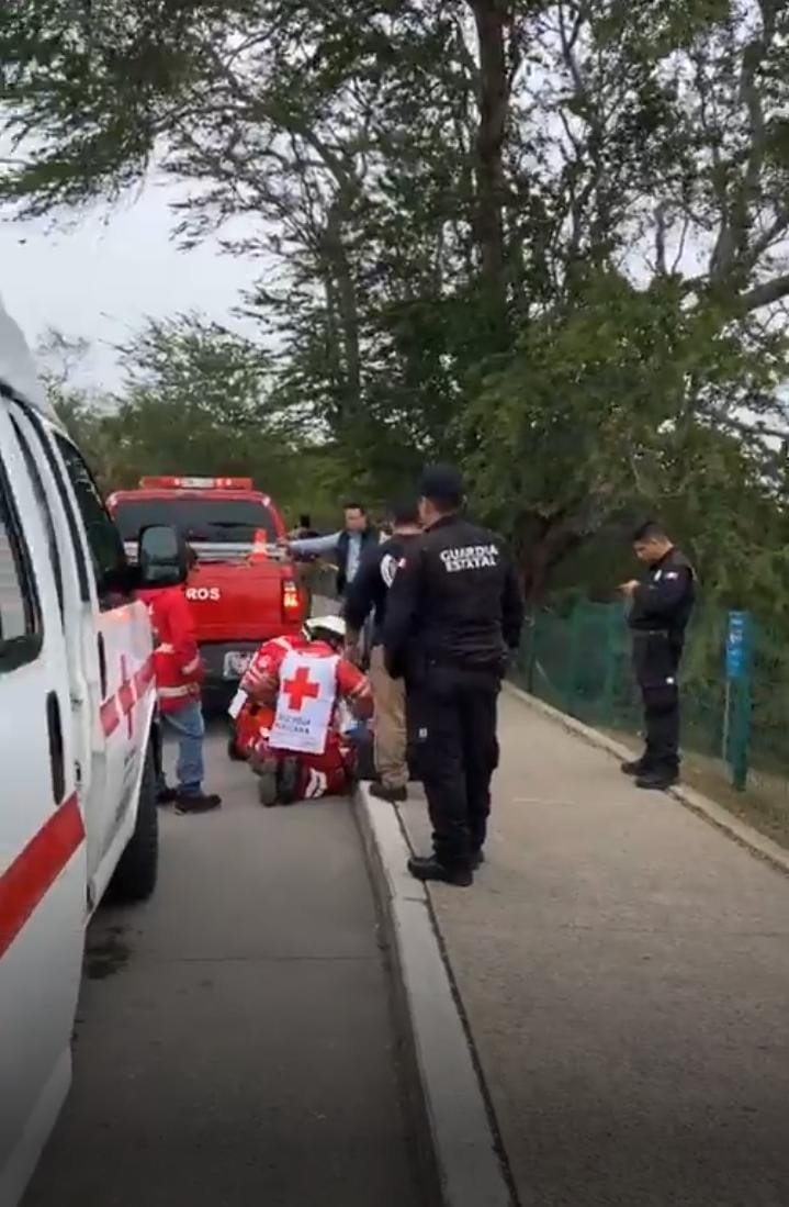 WhatsApp Image 2024-02-06 at 7.33.29 PM