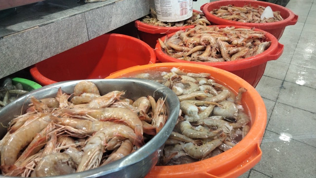 WhatsApp Image 2024-02-14 at 5.04.56 PM (2)